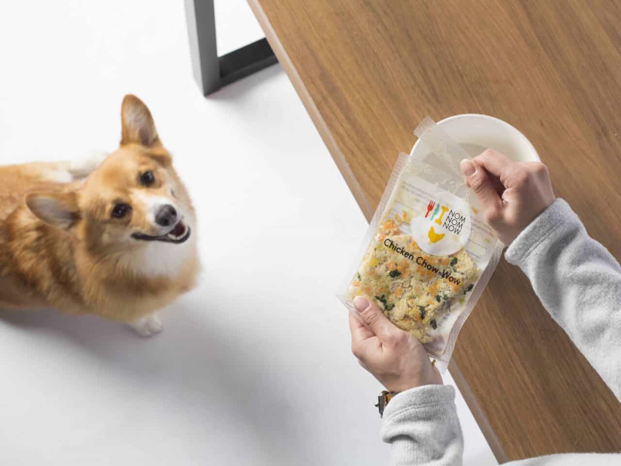 Personalized Dog Food Delivery